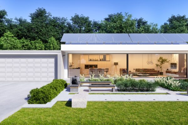 Biophilic Design: Transform Your Home with the Beauty of Nature